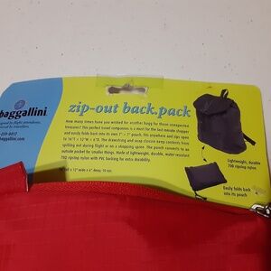 Baggallini Zip-Out Backpack & Storage Pouch